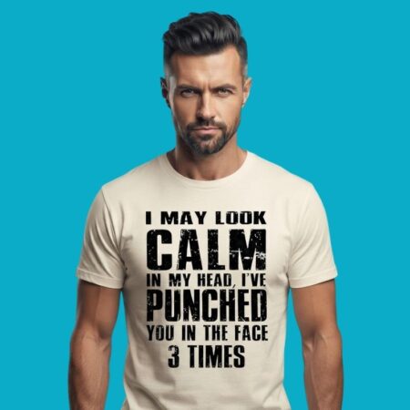 I Look Calm But In My Head I Punched You 3 Times Shirt